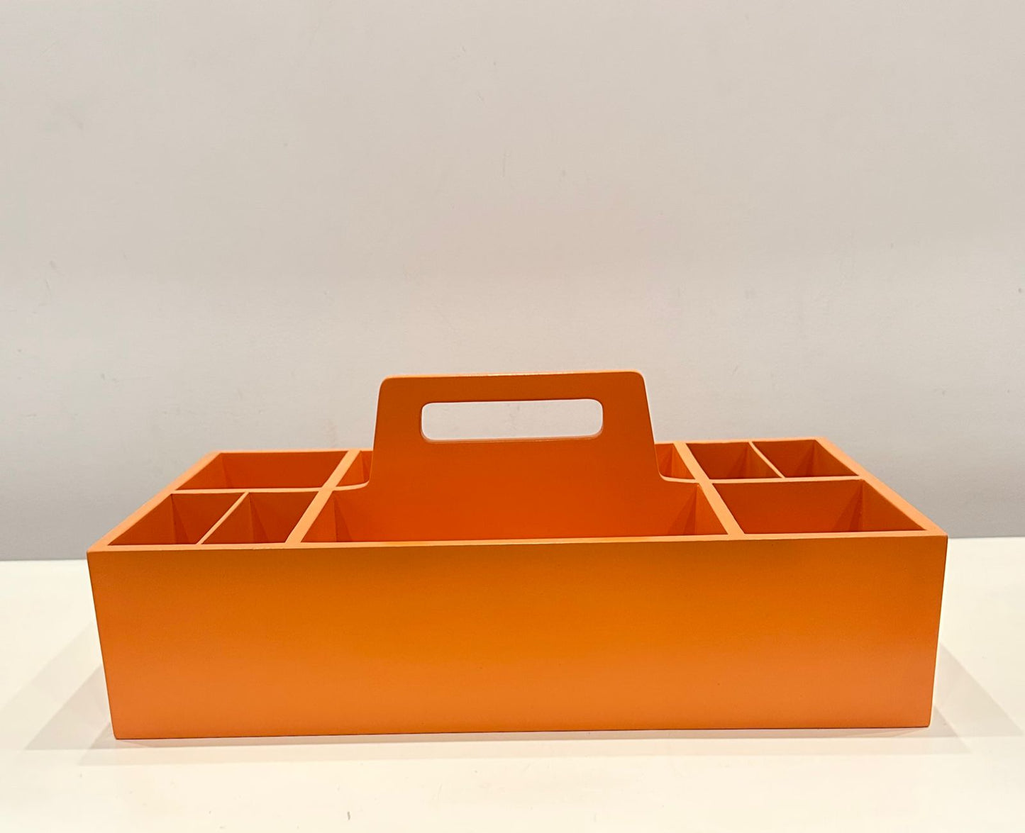 Carry along organizer